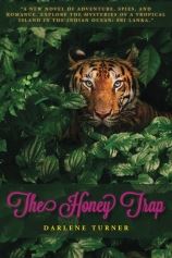 The Honey Trap by Darlene Turner (Fiction / Romance / Suspense)